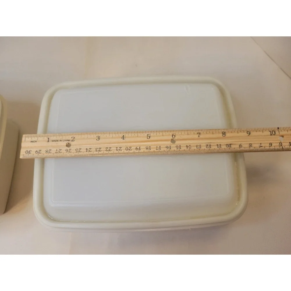Tupperware Freeze N Save Ice Cream Keeper Set 2 Beige Rectangular Containers